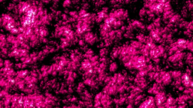 Organic Flesh Pulse Journey - Part 02 of 10 - Seamless