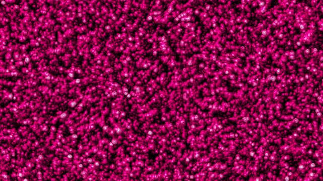 Organic Flesh Pulse Journey - Part 01 of 10 - Seamless