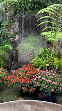 Lush greenery surrounds a gentle waterfall