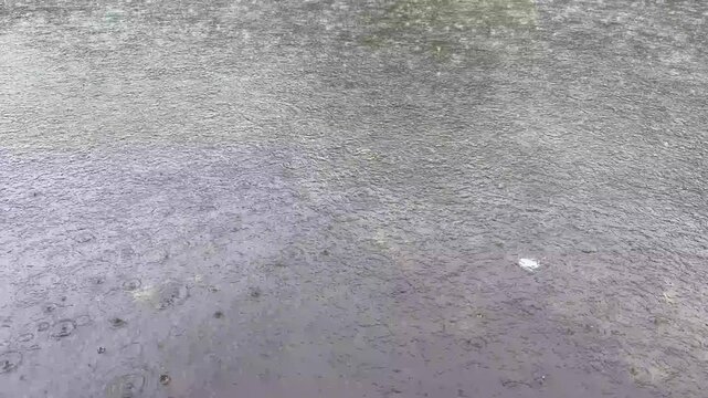 Raindrops fall steadily on wet pavement