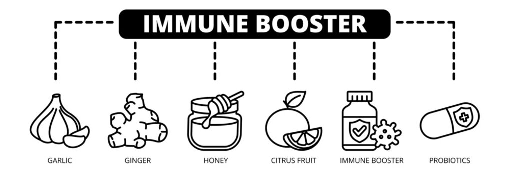 Immune Booster web banner icon vector illustration concept with icons of garlic, ginger, honey, citrus fruit, immune booster, and probiotics.
