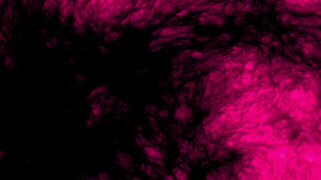 Organic Flesh Pulse Journey - Part 09 of 10 - Seamless