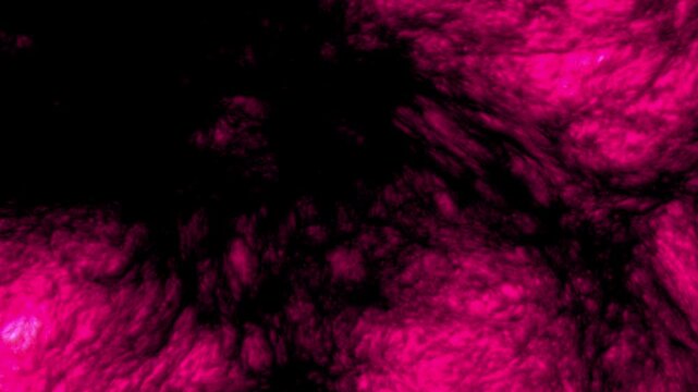 Organic Flesh Pulse Journey - Part 10 of 10 - Seamless