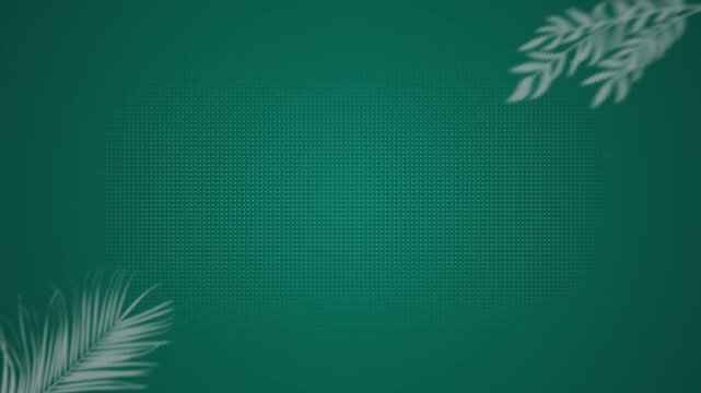 Teal Green Leaf Shadow Abstract Gradient Animated Background Seamless Loop 4K