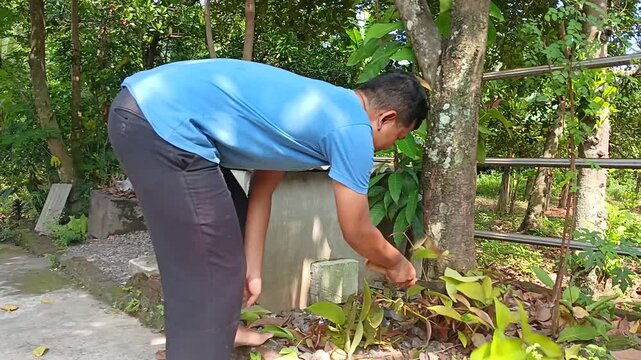 A man trimming tree branches using a sickle in the front yard