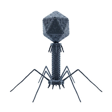 Bacteriophage T2 Virus Isolated on Transparent Background