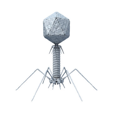Bacteriophage T2 Virus 3D Model Isolated on Transparent Background