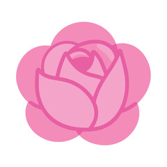 Fototapeta premium Stylized pink rose blossom on a white backdrop in flat vector illustration design