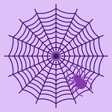 A dark purple spider sits on a symmetrical circular web pattern
