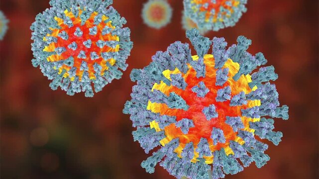 Measles virus particles, 3D animation showing slowly rotating enveloped virions with surface glycoproteins, illustrating highly contagious viral infection.