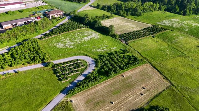 Aerial View of Rolling Green Hills and Vineyards in Piedmont Italy