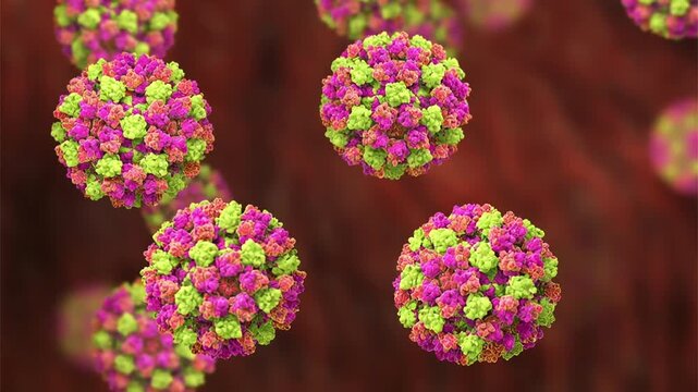 Norovirus particles, 3D animation showing slowly rotating non-enveloped virions with icosahedral capsid, illustrating highly contagious cause of acute gastroenteritis.