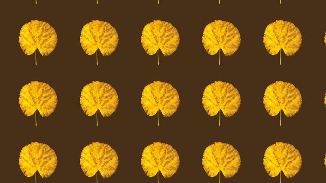 Seamless loop of dry yellow autumn leaves drifting diagonally from bottom right to upper left. Organic floating pattern evokes fall atmosphere. Ideal for seasonal overlays and backgrounds.
