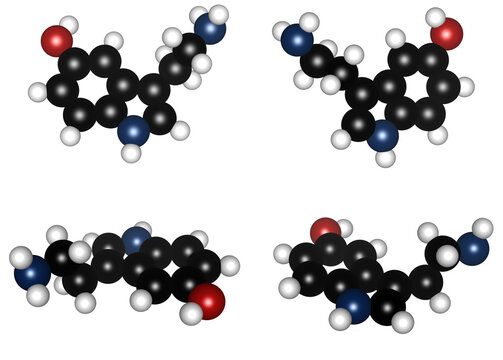 3D Serotonin Molecule Models Set, 5-HT Neurotransmitter Chemical Structure Ball Design, Science, Mental Health, and Medical Research, isolated on transparent background, C10H12N2O, 5-Hydroxytryptamine