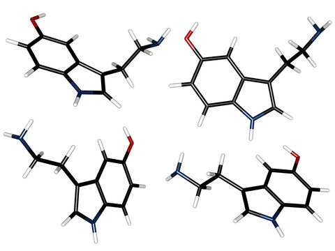Scientific 3D molecular structure of Serotonin hormone neurotransmitter molecule, C10H12N2O, realistic medical chemistry illustration of happiness and wellbeing 5-HT isolated on transparent background