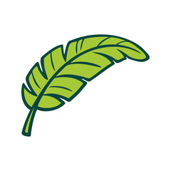 Logo paraíso tropical. Dibujo minimalista con líneas y relleno de color verde de una hoja de plátano  © teracreonte