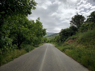Naklejka premium spring rural road surrounded by lush green trees and a partly cloudy sky, creating a calm and refreshing nature scene in the countryside 📍 GoshKhani, Sarvabad, Kurdistan 