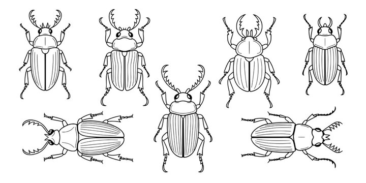 Beetle insect doodle pack with hand-drawn outlines, big claws, antennae and textured wings for playful educational design