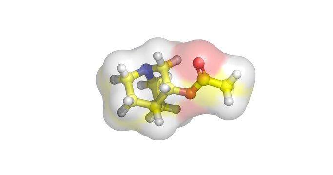 Aceclidine, ophthalmic drug / cholinergic muscarinic agonist for presbyopia management and pupil constriction, 3D molecule 4K