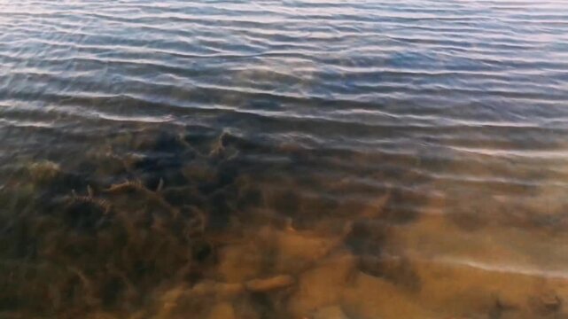 Above water view with small waves and textures. Clear calm water waves on the edge of the lake, at the edge of the tropical forest