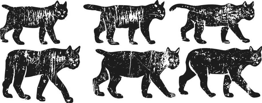 black lynx silhouettes in walking poses with vintage distressed texture wild cat animal figures in different walking stages