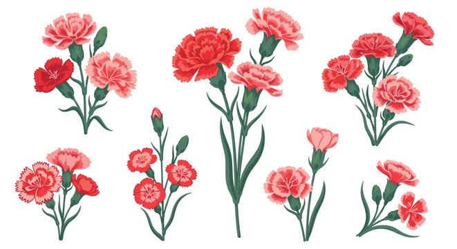 Elegant collection of red and pink carnation flowers with green stems and leaves in various bouquet arrangements.