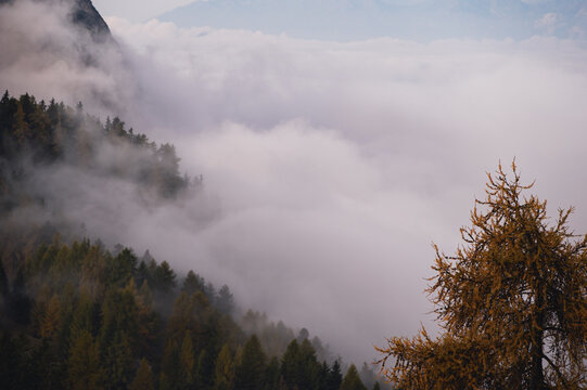 autumnal alpine landscape inside the Dolomites during a cloudy day, Italy