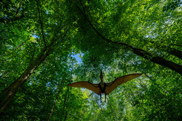Flying Pteranodon pterosaur under the tree canopy. © lapis2380
