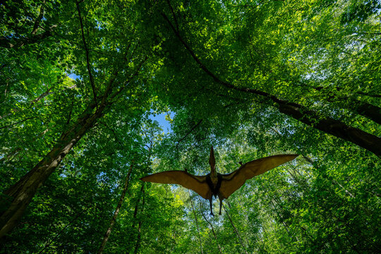Flying Pteranodon pterosaur under the tree canopy.