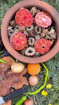Campfire cooking with fresh morel mushrooms and organic vegetables in a clay pot