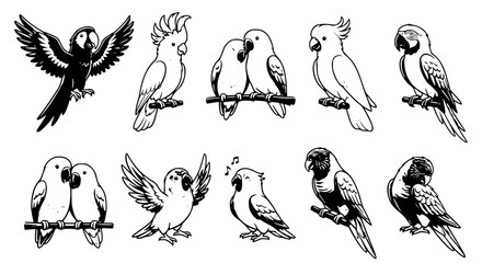 Premium Tropical Parrot and Exotic Bird Character Vector Pack © Rashel12