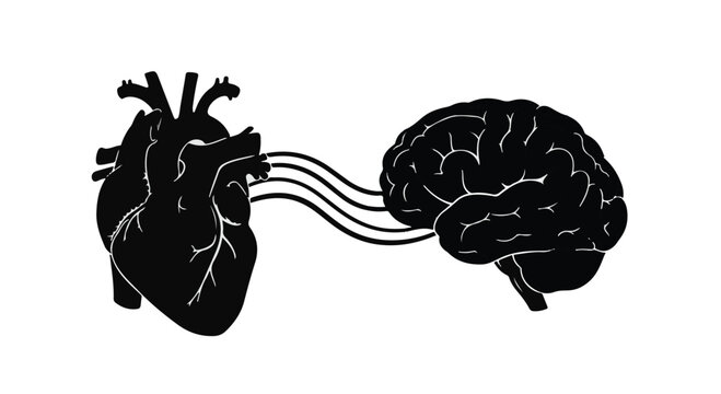 heart and brain connection concept illustration