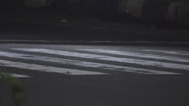 A cinematic, handheld medium close-up shot of a city zebra cross at night. The footage captures the rhythmic movement of car tires and motorcycle wheels passing through the frame.