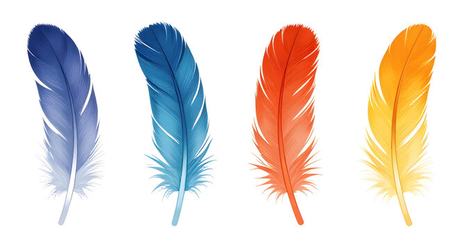 avian, birdfeather, feather, realistic, plumage, nature, wildlife, soft, detailed, flying, wing, natural, decorative, isolated, vector, illustration, whitebackground