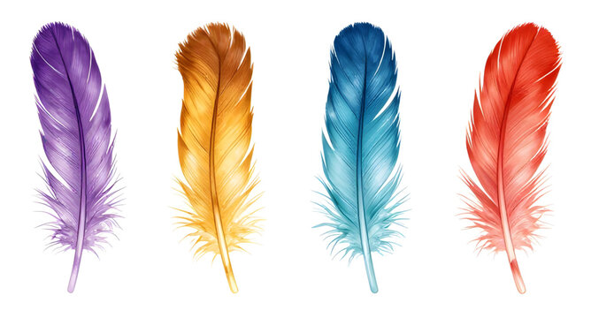 realistic, birdfeather, feather, plumage, avian, nature, wildlife, soft, detailed, flying, wing, natural, decorative, isolated, vector, illustration, whitebackground