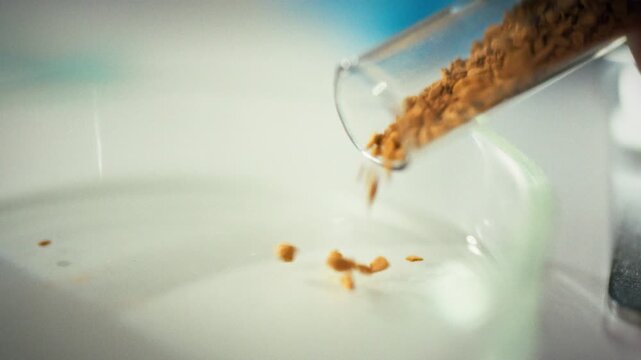 In laboratory, researcher uses test tube to carefully pour newly made instant coffee onto sterile petri dish, conducting testing to analyze its composition and performance under controlled conditions