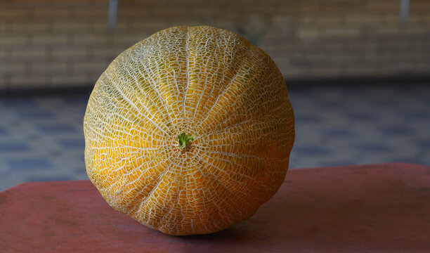 Whole ripe galia melon on a rustic surface close up.