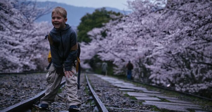 Little boy with backpack playing around gravel area with surrounding cherry blossom trees  - handheld shot