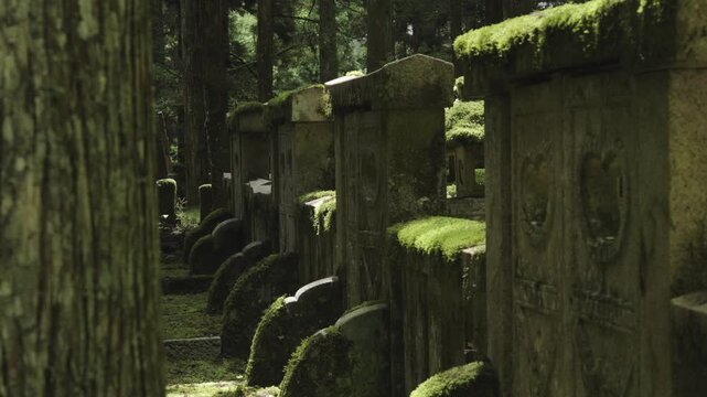 Moss-Covered Memorial Stupa of the Kishu Tokugawa Clan at Okunoin, Koyasan &ndash; UNESCO World Heritage, Wakayama, Japan　世界遺産・高野山奥之院「苔むした紀州徳川家の供養塔」和歌山県高野町