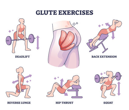 Glute exercises with body buttocks sport training examples outline diagram, transparent background. Labeled educational butt fitness with deadlift, back extension, squat.
