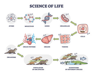 Plakat Science of life as nature physiology categories development outline diagram, transparent background. Labeled educational scheme with living organisms division from atoms.