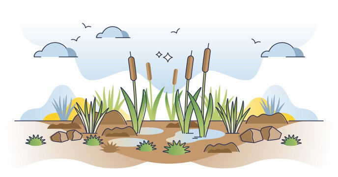 Peatlands or mires as decomposed organic material lands outline concept, transparent background. Soil type with peat organic matter as rich nutrient and fertile land illustration.