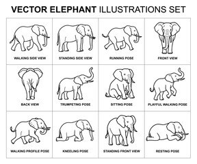 Obraz premium Elephant Outline Vector Set Standing Walking Elephant Line Art Collection