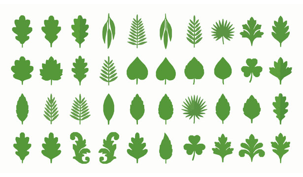 Assorted Flat Style Green Leaf Icons Set for Eco Nature Design Elements on White Background