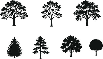Obraz premium Collection of Detailed Tree Silhouettes Featuring Deciduous and Evergreen Varieties Isolated for Nature Design and Landscaping Projects