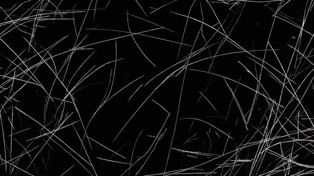 Abstract white lines on black background animation. Dynamic movement, scratch effect, modern design.
