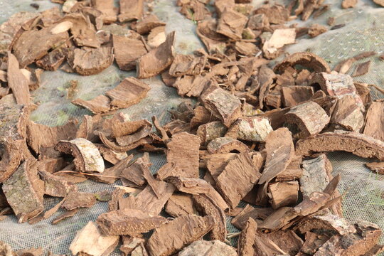 Arjun Bark piece on shop for medicinal purpose