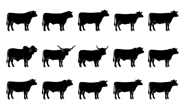 Farm cattle breed silhouette collection featuring various cow types isolated on white background