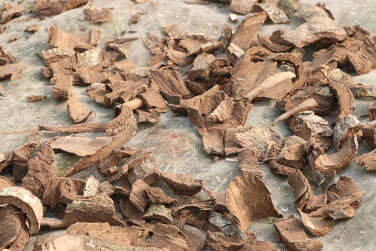 Arjun Bark piece on shop for medicinal purpose