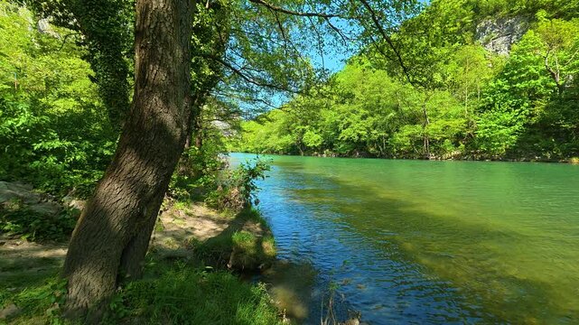 Lush green trees frame a clear river flowing gently. Ovcar Kablar Gorge. Balkans, Serbia